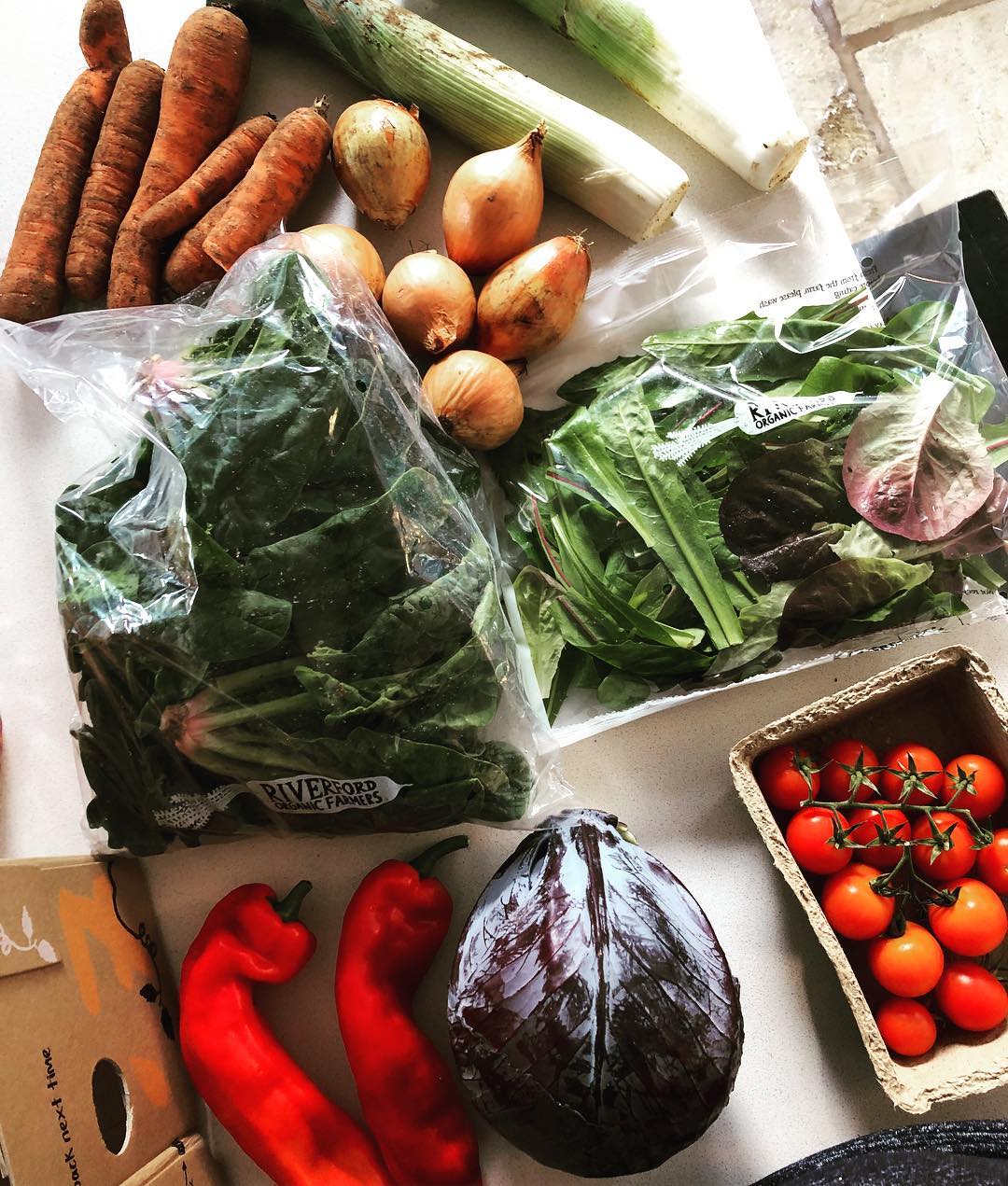 Top 5 Manchester veg boxes including Food Life Organic, Bernie's