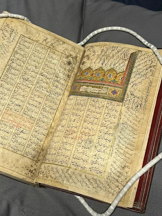 MACFEST hosts a captivating programme of free literary events for its Festival of Words and Books