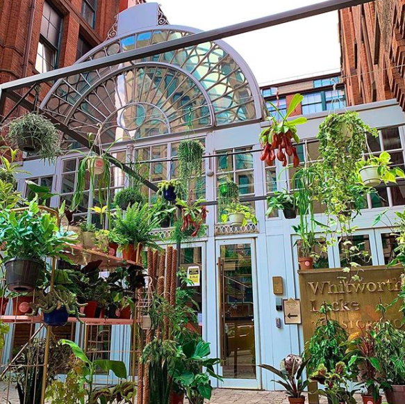 Shop: Explore Glass House, Manchester's newest plant and homeware pop