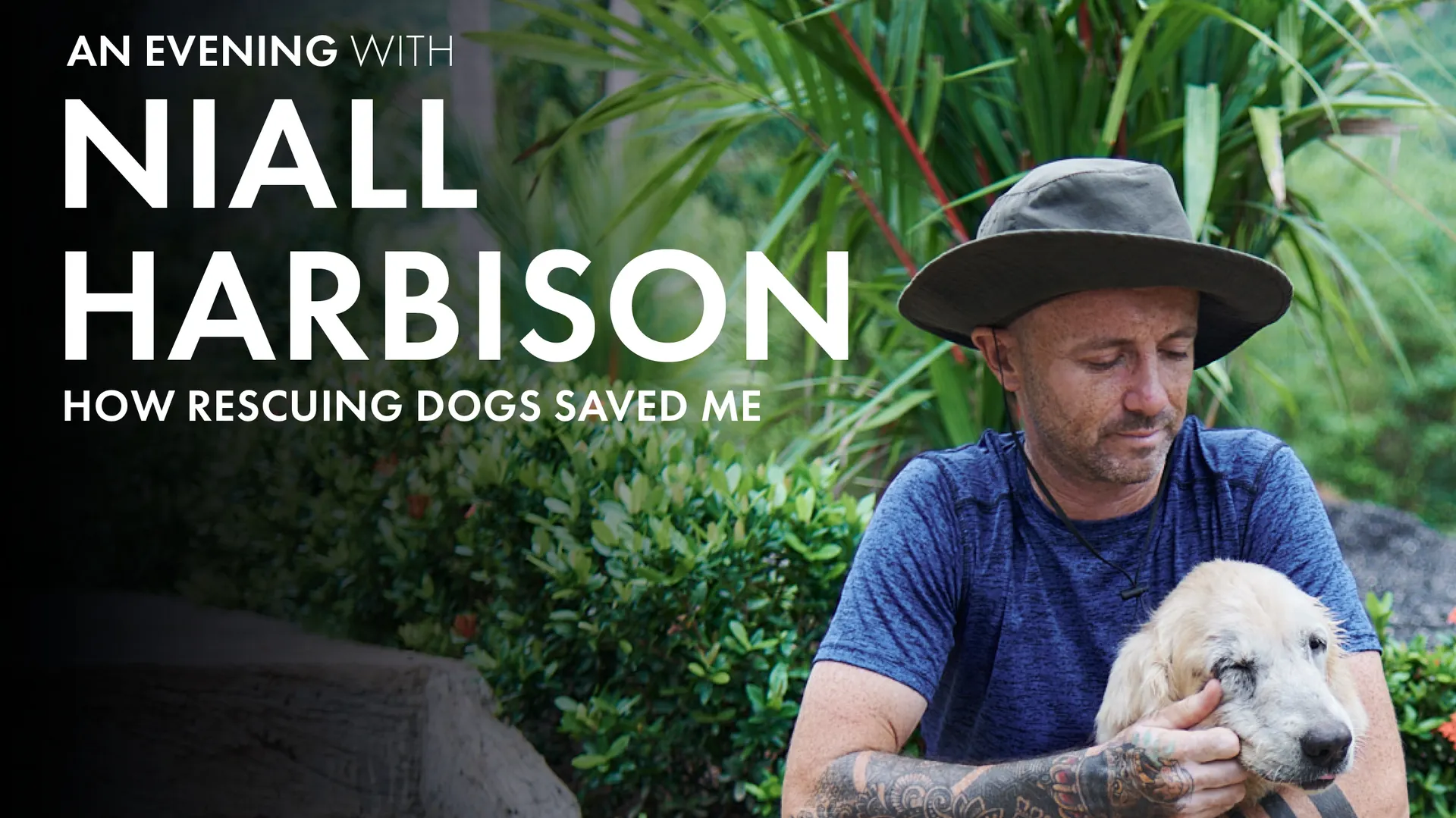 Viral dog rescuer Niall Harbison hosts a night of uplifting canine ...